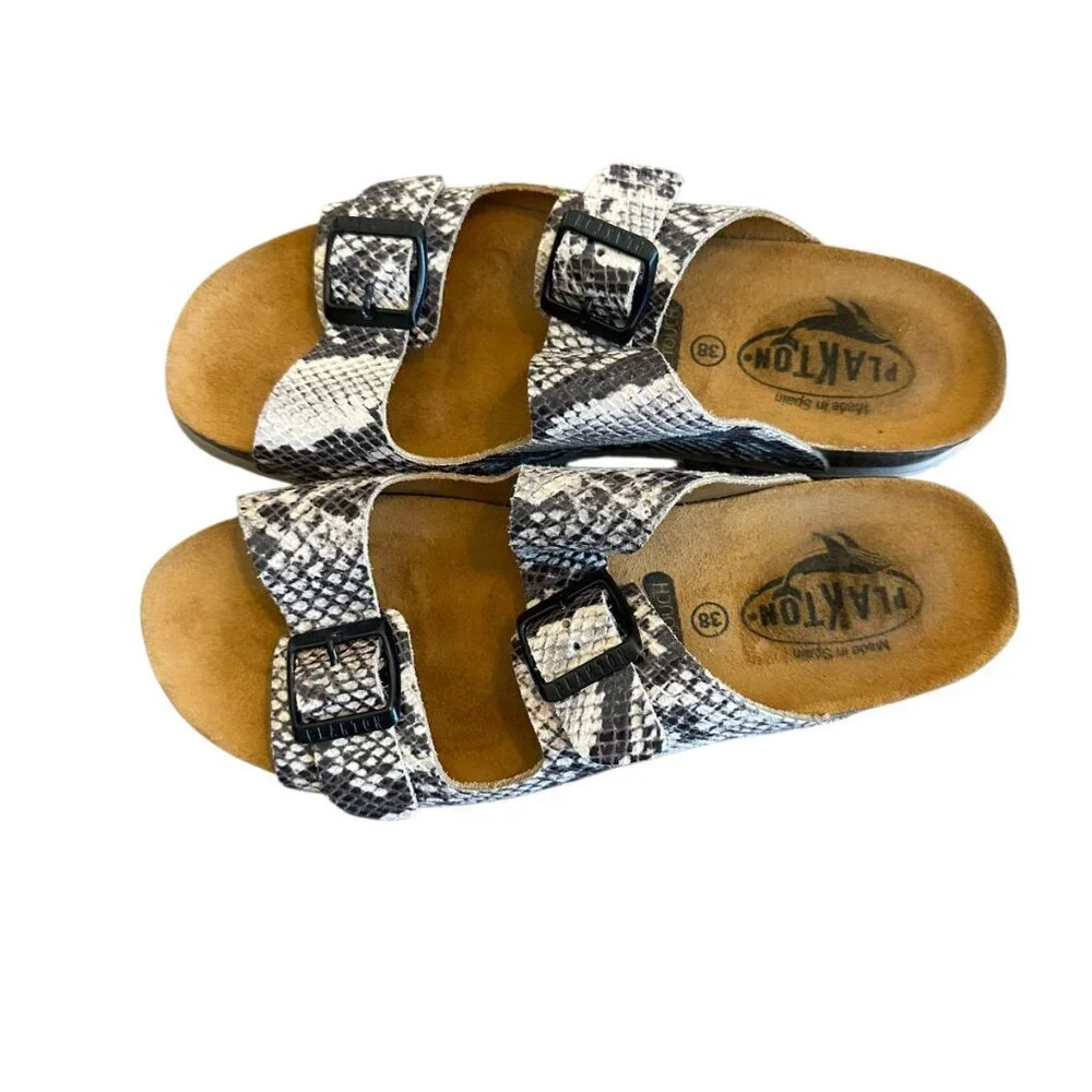 Plakton size 38
